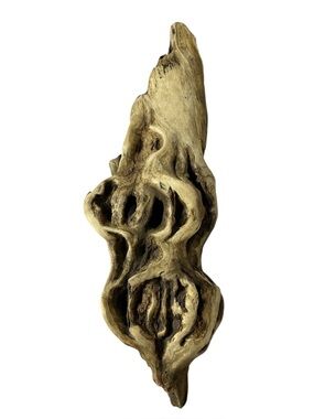 Natural Driftwood Sculpture - Organic Wood Accent
